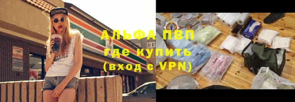 индика Белоозёрский