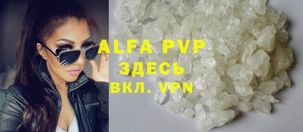 индика Белоозёрский
