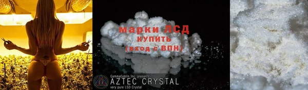 хмурый Белокуриха