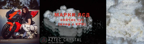 хмурый Белокуриха