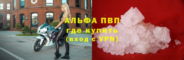 спайс Беломорск
