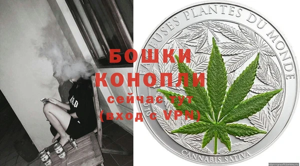 хмурый Белокуриха