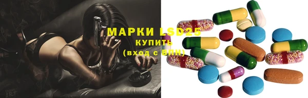 индика Белоозёрский