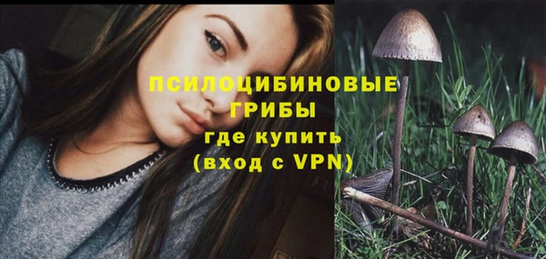 хмурый Белокуриха