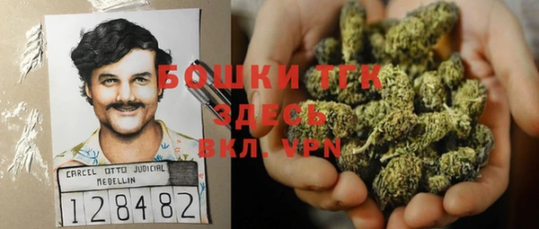 индика Белоозёрский