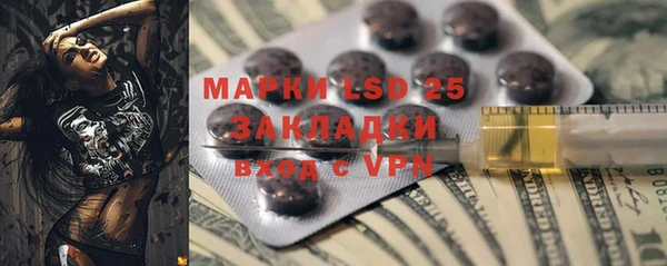 индика Белоозёрский