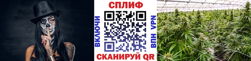 МАРИХУАНА VHQ  Полесск 